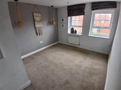 Picture 13
